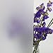 Fancy-fix Privacy Window Film Non-Adhesive Frosted Film Anti UV Stained Glass Cling for Home Decoration 35.4in. by 59in.(90 X150cm)