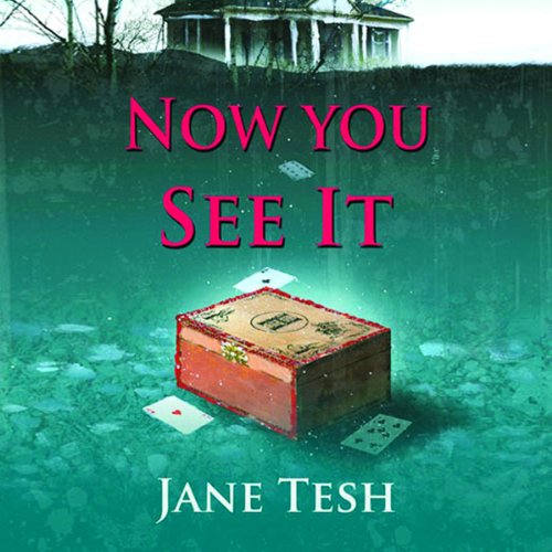 Now You See It: A Grace Street Mysteries, Book 3