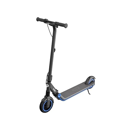 Segway Ninebot eKickScooter ZING E10 Electric Kick Scooter for