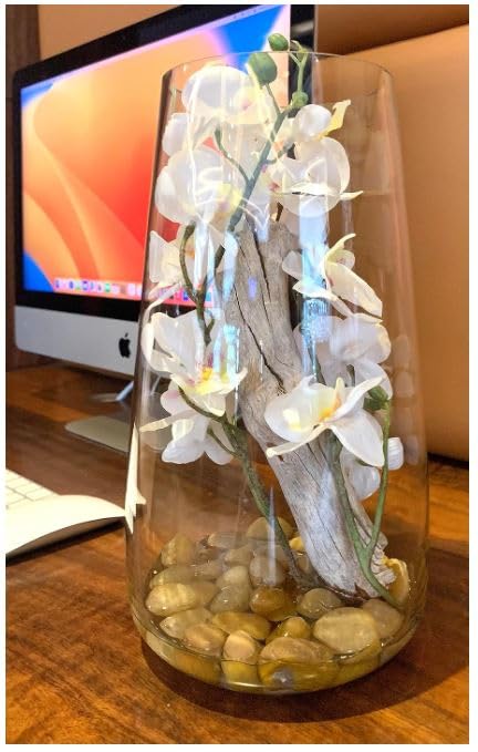 SMArtDecor Ltd - Decorative Artificial Orchid Flowers, Handcrafted Vase 16x16x29cm Set in Faux Water (White)
