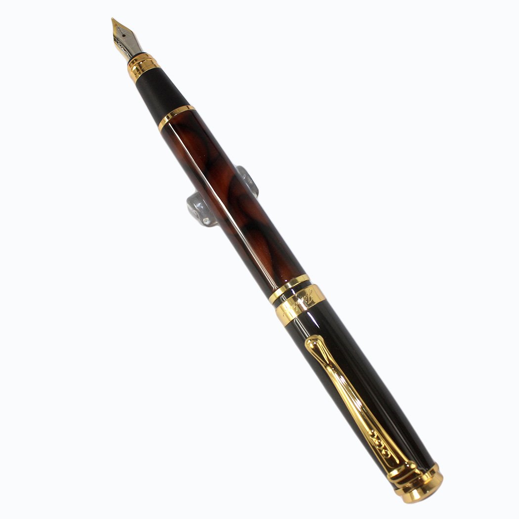 Gullor Advanced Art Fountain Pen Jinhao 500