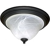 Nuvo Lighting 60/383 Two Light Flush Mount