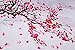 Fabric Door Curtain Falling Leave of Plum Flower Japanese Noren Curtains