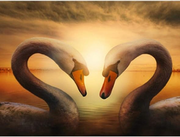 Amazon パズルジグソー1000ピース ラブハート型白鳥 お子様や友人へのギフトに最適 ホームアートデコペインティング ジグソーパズル おもちゃ