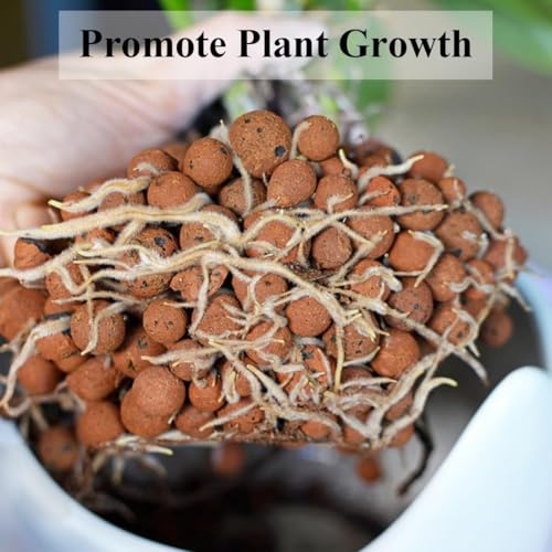 Clay Pebbles for Plants, 8mm-14mm Expanded LECA Balls Plant Garden Soil, Hydroponic, Aquaponics, Natural Leca Balls for Soil Root Development, Orchid Potting Mix, 2.2 Ib