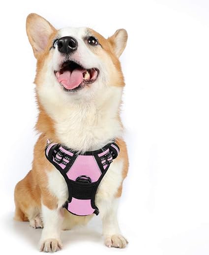 Rabbitgoo Harnais Chien M Arnais Rose Anti Traction Gilet Réfléchissant Réglable Pour Chien Attache Devant Crochet De Laisse Pour Randonnée Trajet