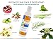 Almond Clear Face & Body Wash [6.7 Fl Oz] Skin Care for Acne and Folliculitis-Prone Skin - Gentle Everyday Exfoliating Cleanser with Mandelic Acid and Botanicals