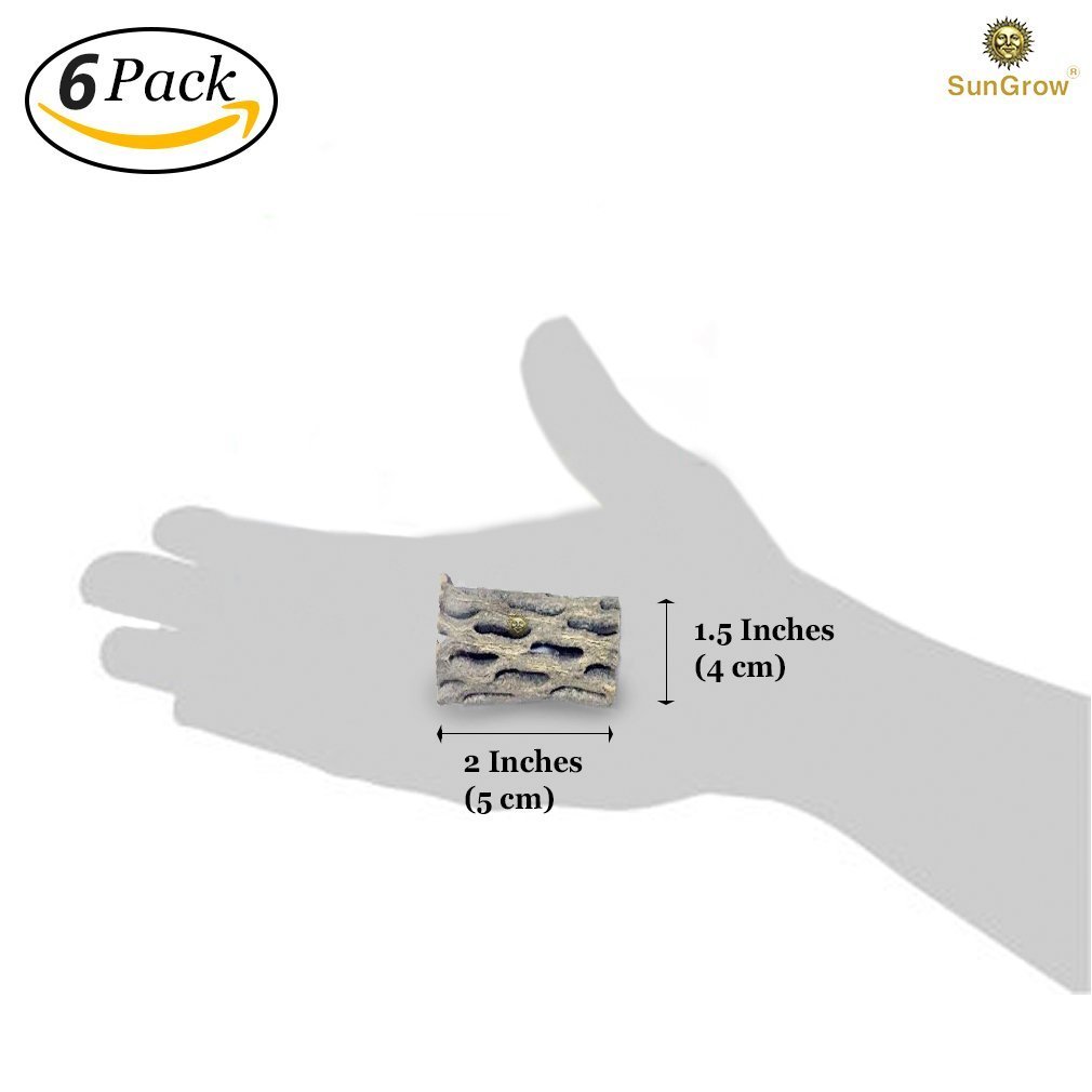 6-pcs Natural Cholla wood for Chinchillas by SunGrow - 100% Organic soft wood, Chemical-free, thorn-free - Keeps Chinchilla teeth healthy - Chew toy for ferrets, guinea pigs, gerbils, mice, hamsters