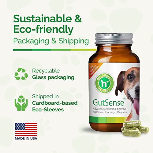 Dr. Dobias GutSense, Advanced Prebiotic & Probiotics for Dogs, Canine