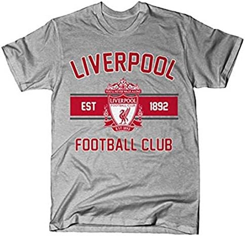 Hotsale Men Liverpool FC Grey Collegiate T Shirt