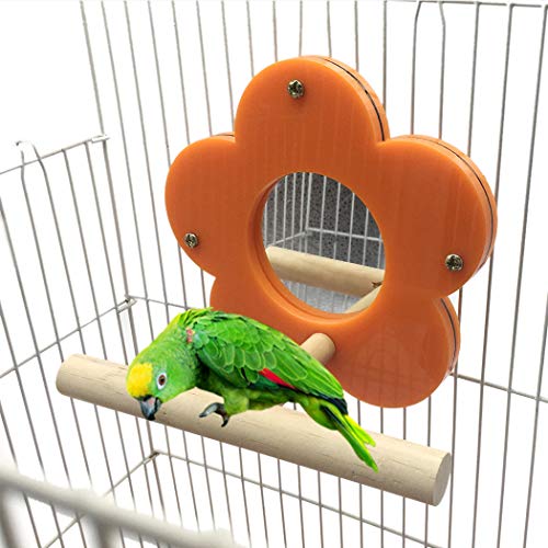 Legendog Bird Perch Creative Bird Stand Perch Bird Cage Toy Parrot Toy with Flower Mirror