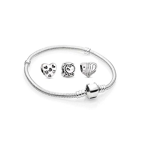 Charms Beads Armband und 3 Anhänger Starter Set Angebot Zirkonia Murano Glas bettel Pandora Style Bead Herz kompatibel