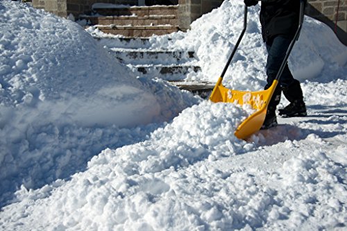 Garant APSS22U 62" Alpine Sleigh Shovel - Thumbnail 2