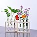 Ivolador Plant Propagation Station Terrariumin Wall Test Tube Vases Bud Tabletop Glass Wooden Stand with 5 Propagation Tubes for Propagating Hydroponic Plants Home Garden Wedding Decoration-Beige