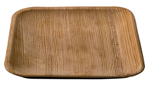 Pure Palm Planet Friendly Palm Leaf Plates; Bamboo-Style, Upscale Disposable Dinnerware; All-natural Biodegradable Plates (6" Square) (25 Pack)