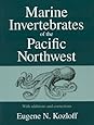 Seashore Life Of The Northern Pacific Coast An