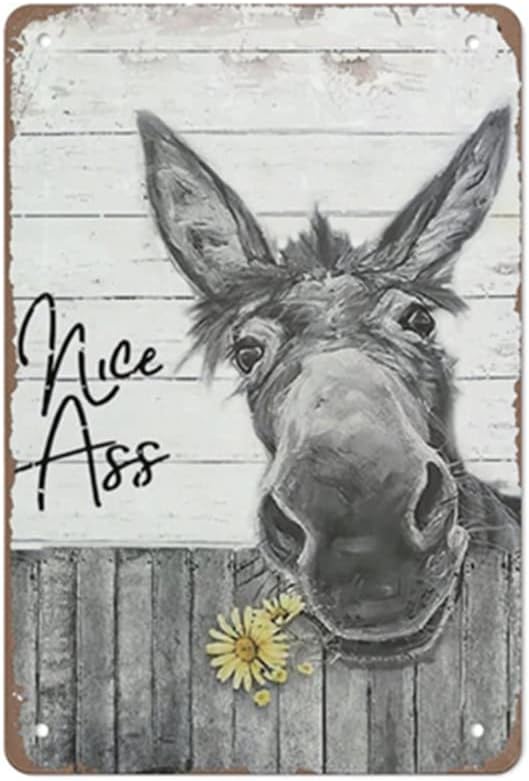 Wall Décor - QHOVPA Vintage Donkey Art Metal Signs, Funny Bathroom Toilet Sign Nice Ass Wall Artwork Metal Poster Room Print Sculptures Decor for Home Signage Gifts 12x16 inches