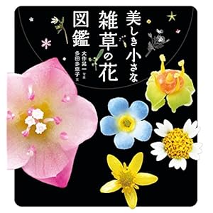 美しき小さな雑草の花図鑑 [Kindle版]