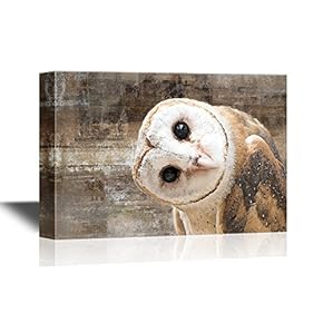 Canvas Wall Art - Common Barn Owl (Tyto Albahead) Head Close Up - Gallery Wrap Modern Home Art | Ready to Hang - 12x18 inches