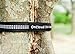 ONCLOUD XL Hammock Tree Straps 40+2 Loops 21 FT Long 2 Pack with Wiregate Carabiners