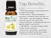 BioFinest Ylang Ylang Oil - 100% Pure Ylang Ylang Essential Oil - Premium Organic - Therapeutic Grade - Aromatherapy - Boost Energy/Heart - Help Reduce Stress/Anxiety - FREE E-Book (10ml)