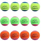 SCENEREAL Squeaky Tennis Balls Toys for Dogs Pets Playing and Training 2.5
