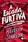 Livro A escada furtiva (Cordialmente Cruel Livro 2)