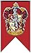 Harry Potter Gryffindor Wall Banner