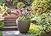 Southern Patio 20