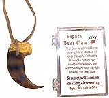 Replica Grizzly Bear Claw Pendant with Leather Necklace