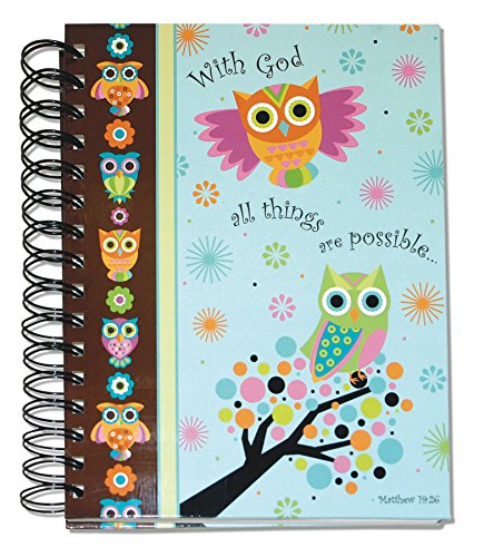 Divinity Boutique Journal, Blue Owls (20672)