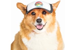 Sunset Collection, PupLid Trucker Hats for Dogs (Medium) Premium Stylish Sun Protection for The Modern Dog - Adjustable for Secure Comfortable Fit on Active Dogs (Black, Surfer Dog)