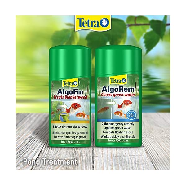 Tetra Pond AlgoRem Green Water Treatment, Environmentally Conscious Treatment, 250 ml (Pack of 1)