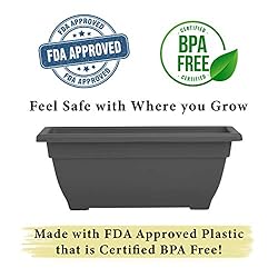 BackyardBounty Rectangle Planter Box, 16 Inch