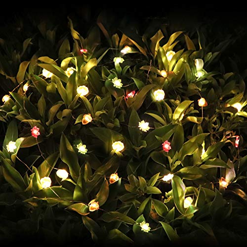Decoration String Lights - 10ft Waterproof Lights with 30 LEDs for Valentine\'s Day Deco Home Courtyard (Battery Not Included)