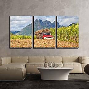 3 Piece Canvas Wall Art - Truck with Sugar Cane at Mauritius in Front a Pinapple Field - Modern Home Art Stretched and Framed Ready to Hang - 16"x24"x3 Panels