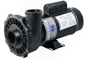Waterway 3420610-1A Executive Pump,1.5 Hp,115V, 2-Spd,48 Fr, 2 X 2