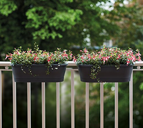 Elho Corsica Easy Balcony - Übertopf - Anthrazit - Draußen & Balkon - L 58.5 x W 24.5 x H 20.2 cm – Bild 5