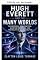 Livro Hugh Everett e os muitos mundos (Os fundamentos da realidade quântica: os rebeldes, realistas e visionários que desafiaram o significado do mundo quântico Livro 13)