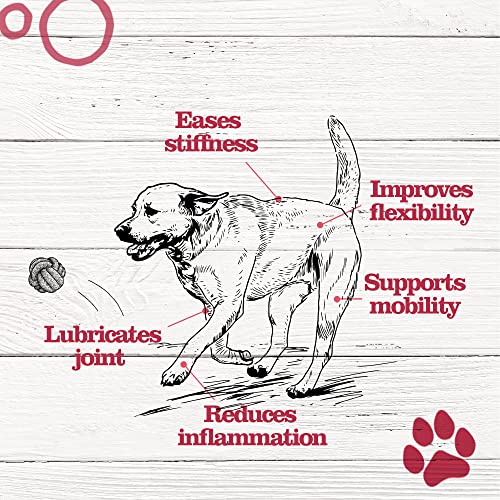 Dr. Pol Mobility Chews with MSM Glucosamine for Dogs Hip Joint