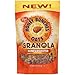 Honey Bunches of Oats Granola Crunchy Honey Roasted 11 oz. (2 pack)