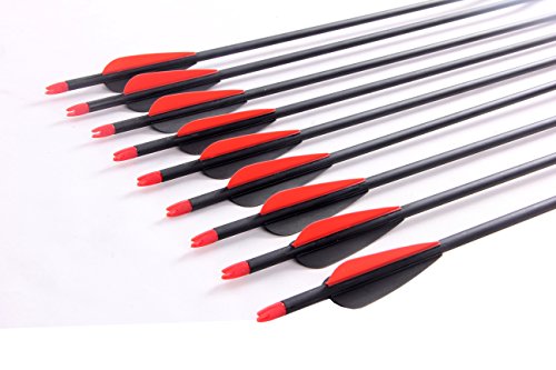 image for PG1ARCHERY Archery Carbon Arrows, 12 Pack 30 inch Practice Hunting Tar