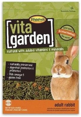 patterdale terrier puppies for sale north east