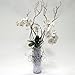 OOOUSE Clear Water Pearls (WHITE, 1)