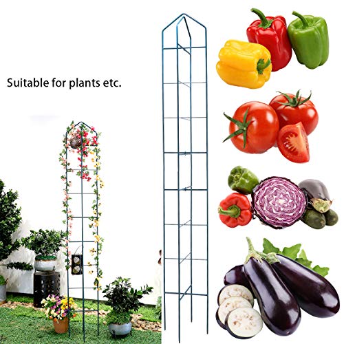 hourflik Plant Cages and Supports, Tomato Cages and Stakes Cucumbers