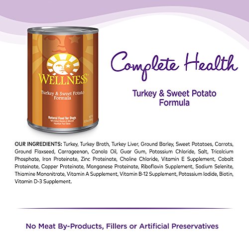 Wellness Complete Health Natural Wet Canned Dog Food, Turkey & Sweet Potato, 12.5-Ounce Can (Pack Of - //medicalbooks.filipinodoctors.org