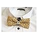 Sunny Home Men's Crystal Shining Pre Tied Bow Tie Bowtie Wedding Party (Golden)