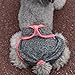KYEESE Sports Reusable Female Dogs Diapers Breathable 3 Pack Dog Wraps with Inside Pocket Waist 21''-27'' for Medium Dogs