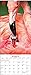 2018 Flamingos Calendar
