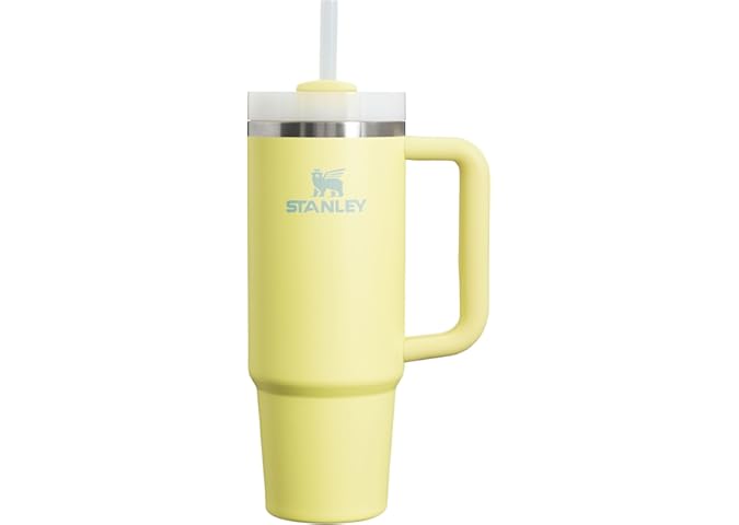 STANLEY Quencher H2.0 Tumbler with Handle and Straw 30 oz | Flowstate 3-Pos...
